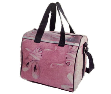 Dance Gallery BAULETTO PUNTE ROSA Dance Gallery BAULETTO PUNTE ROSA